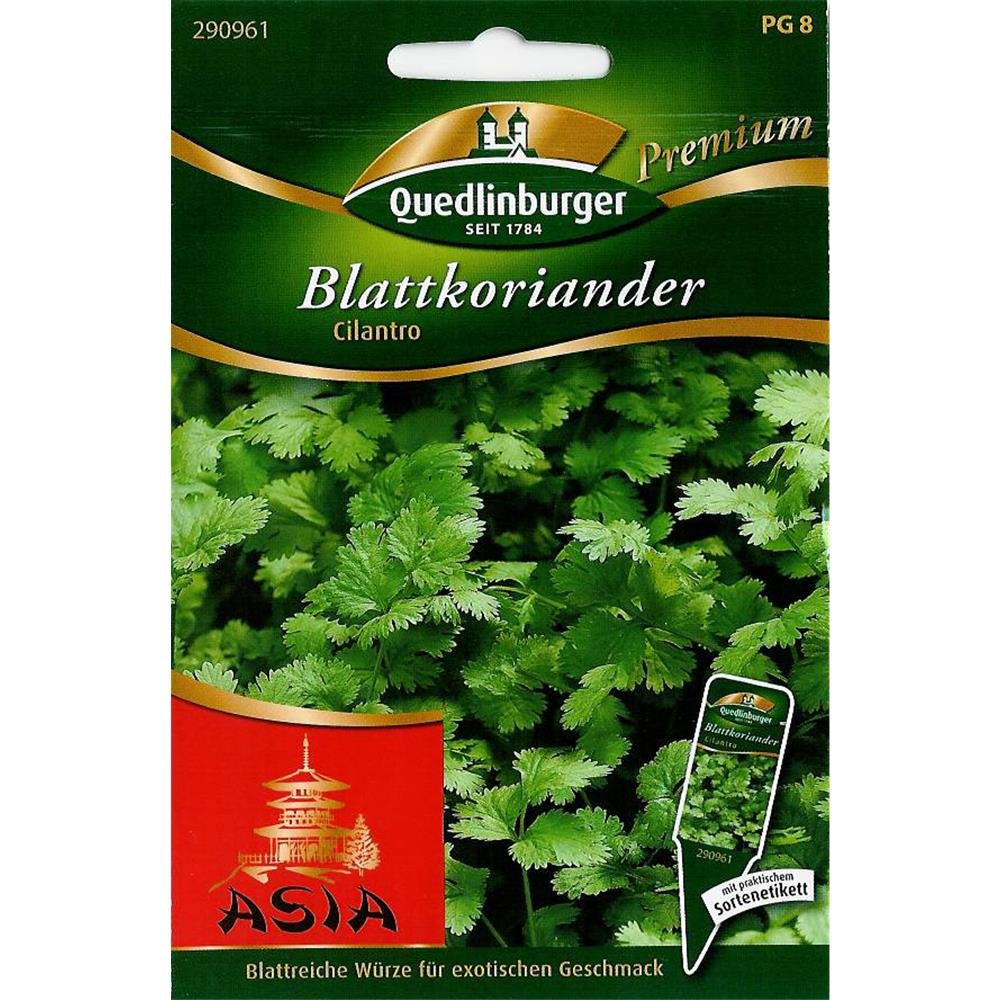 Blatni koriander, Cilantro