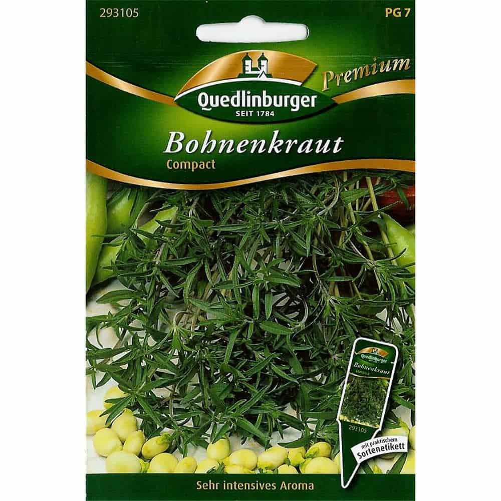 Topf-Bohnenkraut, Compact